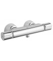 Recambios Profesionalfesionales y piezas Grohe Termostato Gerontologico Ducha G-2000 (34205000)