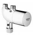 Recambios Profesionaless y piezas Grohe New Grohtherm Micro