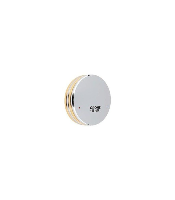Compra online Recambios profesionales GROHE Tapa De La Palanca Europlus (Hasta 1997) en oferta al mejor precio