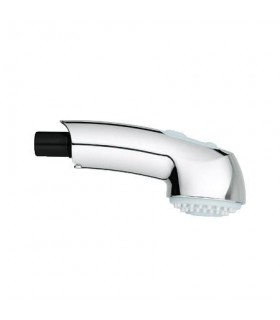 Recambios profesionales GROHE Teleducha P/Monom.Fregadero Zedra 32553