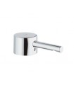 Recambios profesionales GROHE Palanca Essence