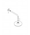 Tempesta 210 ducha mural con brazo de ducha 286 (28576) Grohe (26411000)