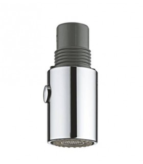 Recambio Grohe 46857000 Teleducha