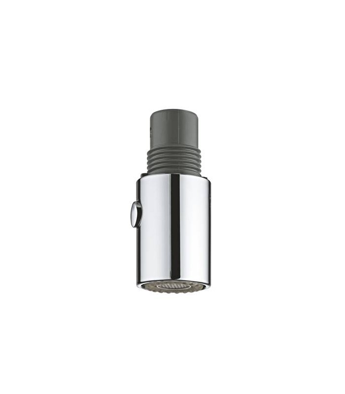 Compra online Substituição do chuveiro de mão Grohe 46857000 en oferta al mejor precio
