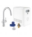Grohe  BLUE Professional con caño extraible  (31325002)