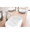 Grohe Essence Lavabo tipo Bol 60 cm (Ref. 3960800H)