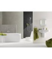 Grohe Euphoria Cosmopolitan Stick Conjunto de barra de ducha 1 chorro (Ref. 27368000)
