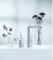 Grohe Eurocube Joy Monomando de lavabo 1/2" Tamaño M (Ref. 23658000)