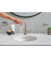Grohe Essentials Ring Níquel Escovado (Níquel Escovado) (40365EN1)