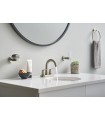 Grohe Essentials Ring Níquel Escovado (Níquel Escovado) (40365EN1)
