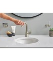 Grohe Essentials Ring Níquel Escovado (Níquel Escovado) (40365EN1)