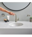 Grohe Essentials Ring Níquel Escovado (Níquel Escovado) (40365EN1)