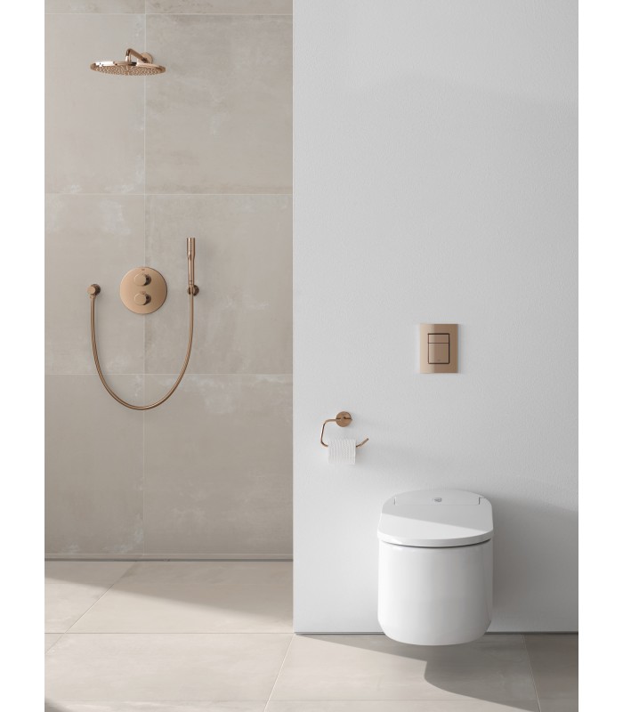 Compra online Grohe Essentials Portarrollos Brushed hard graphite (Grafito cepillado) (40689AL1) en oferta al mejor precio