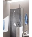 Grohe Vitalio Start 100 Teleducha 2 chorros Cromo (27946000)