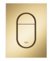 Escudo Grohe Arena Cosmopolitan S escovado cool sunrise (dourado escovado) (37624GN0)