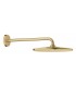 Grohe Rainshower Mono 310 Chuveiro de cabeça com braço 422 mm, 1 jato Escovado cool sunrise (Ouro escovado) (26558GN0)