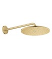 Grohe Rainshower Mono 310 Ducha mural con brazo 422 mm, 1 chorro Brushed cool sunrise (Oro cepillado) (26558GN0)