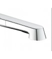 Recambios profesionales GROHE Teleducha Para 32942002 Europlus Cocina